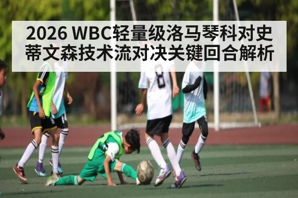 2026 WBC轻量级洛马琴科对史蒂文森技术流对决关键回合解析